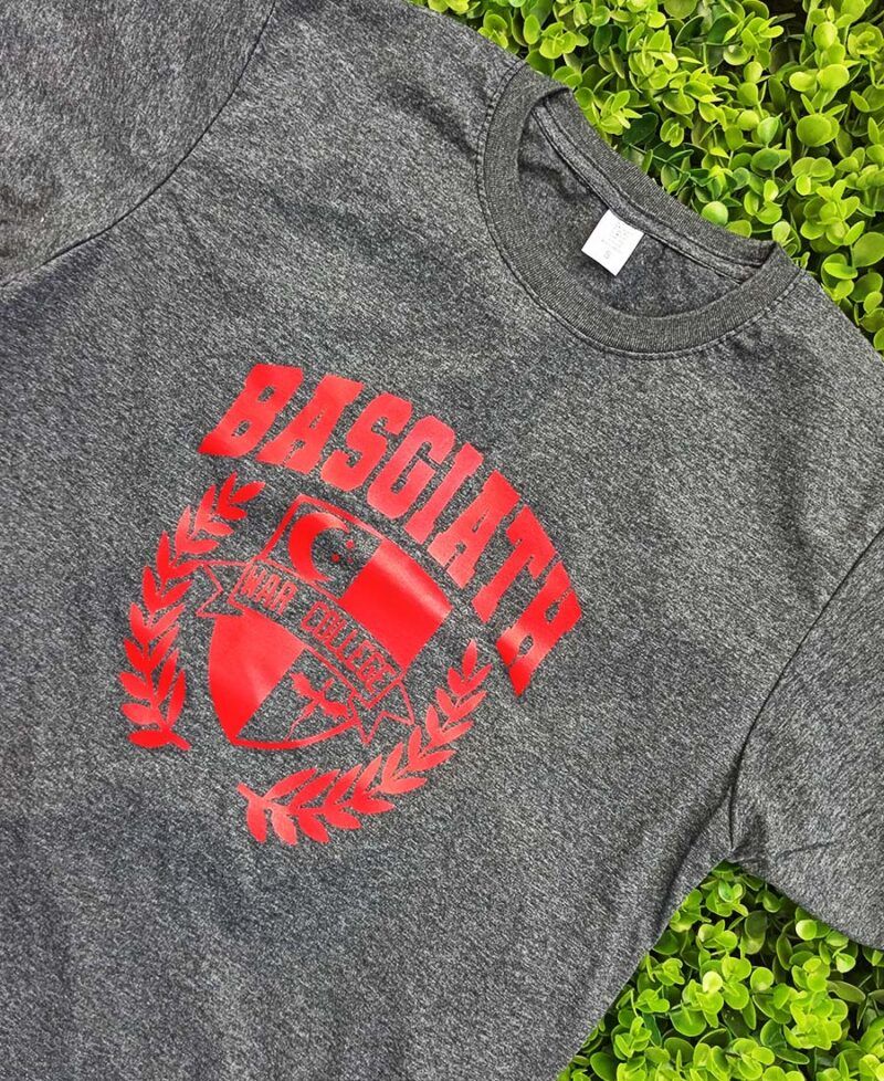 Camisa Personalizada Casa Basgiath