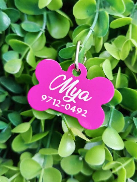 Placa Para Mascota Personalizada Mya