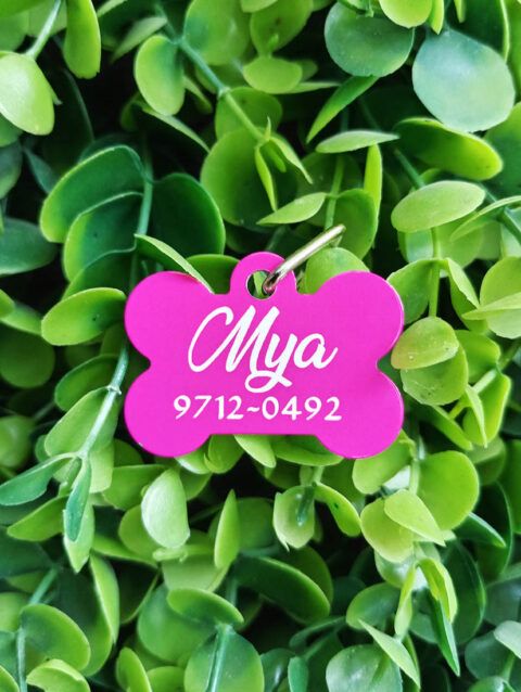 Placa Para Mascota Personalizada Mya