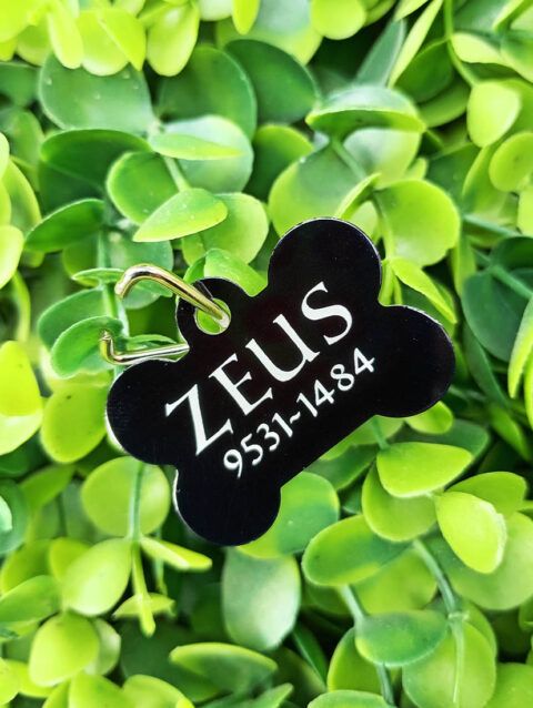 Placa Para Mascota Personalizada Zeus