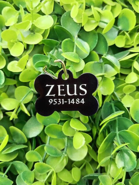 Placa Para Mascota Personalizada Zeus